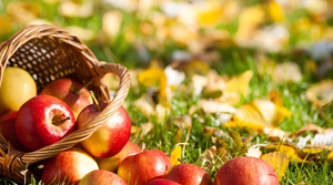 Juice Plus How Its Made